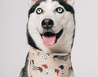 Gepersonaliseerde handgemaakte hond bandana