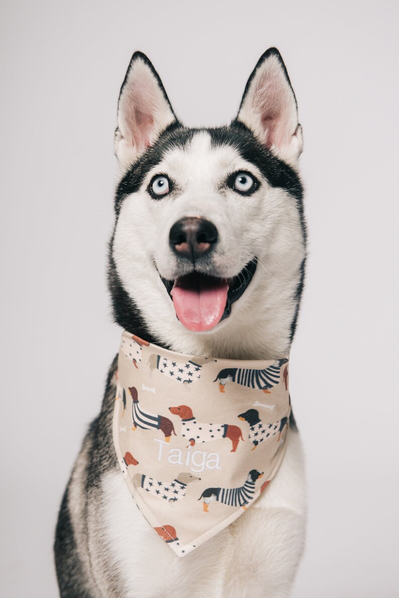 Personalized handmade dog bandana image 1