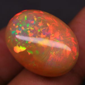 Puede incluir: Una piedra preciosa de ópalo pulida, de forma ovalada. El ópalo muestra un vibrante juego de colores, con destellos de rojo, naranja, verde y amarillo. La gema tiene una apariencia translúcida, con patrones internos y una superficie lisa y reflectante.