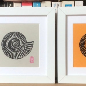 Ammonite fossil handmade linocut print, framed original wall art  by Daria Arta