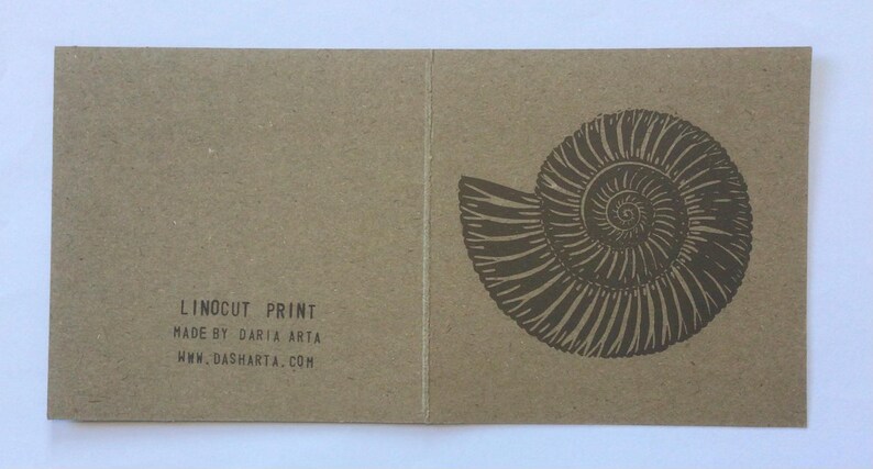 The Natural World: The Story Of The Kremmling Ammonite Site And A Painting By Wa