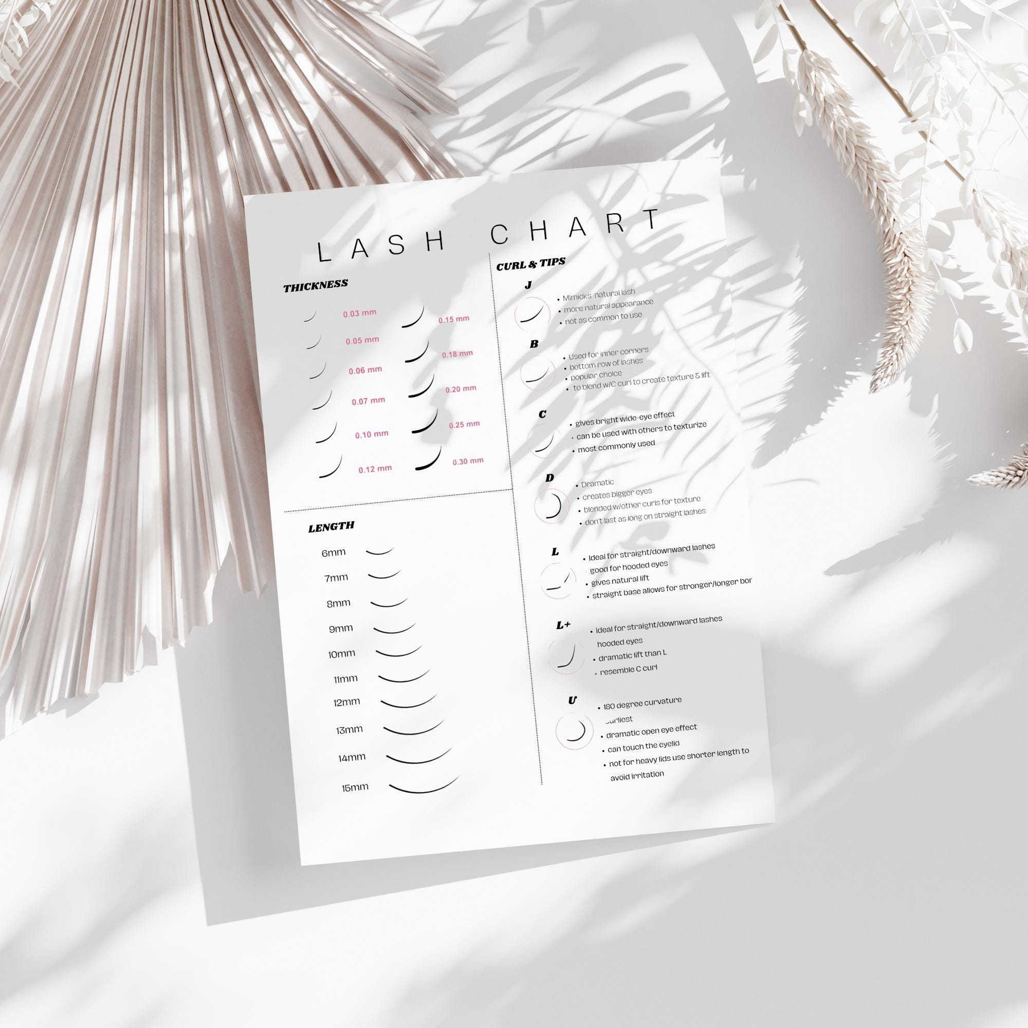 Lash Extension Chart Poster, Eyelash Tech Guide, Salon Decor - Etsy