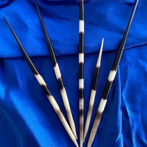 Real African Porcupine Quill Hair Stick Accessory