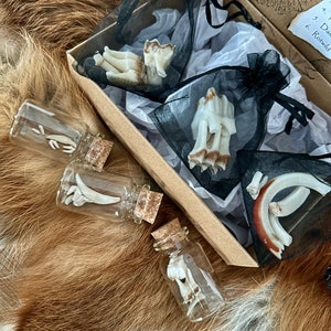 May include: Four small glass bottles with cork tops, each containing a set of animal teeth. The bottles are arranged on a brown fur surface. The teeth are white and appear to be from a deer or other wild animal. The bottles are labeled with the text "Rotwild" which is German for "Red Deer".