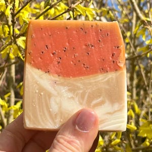 英国製ハンドメイドスイカ石鹸、ビーガン、パームフリー、プラスチックフリー、彼女へのプレゼント