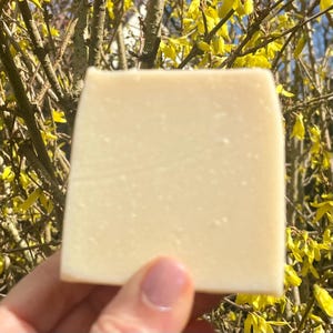 Pure Almond Soap with olive oil, coconut oil, shea butter, almond oil- vegan, palm free, plastic free- sustainable gift
