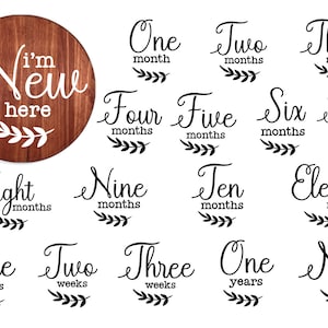16 Baby monatlich Meilenstein svg, Baby monatlich Meilenstein Runden SVG, Glowforge Cricut Shilouette, monatlich Meilenstein für Baby geschnitten Datei