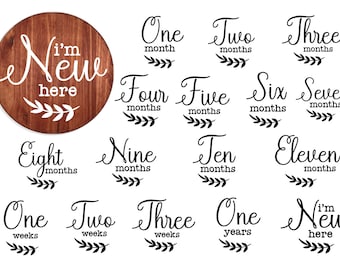 16 Baby Monthly Milestone svg , Baby Monthly Milestone Rounds SVG ,Glowforge Cricut Shilouette, Monthly Milestone for Baby Cut File