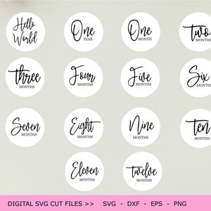 Baby Milestone Rounds SVG Baby Rounds SVG PNG Glowforge Baby Cricut Silhouette Baby Cricut Silhouette Cut File Digital File Baby Milestones