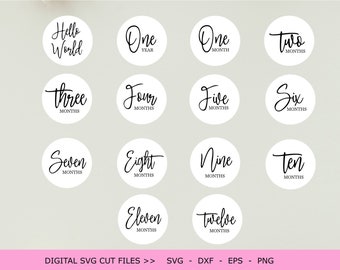 Baby Milestone Rounds SVG Baby Rounds SVG PNG Glowforge Baby Cricut Silhouette Baby Cricut Silhouette Cut File Digital File Baby Milestones