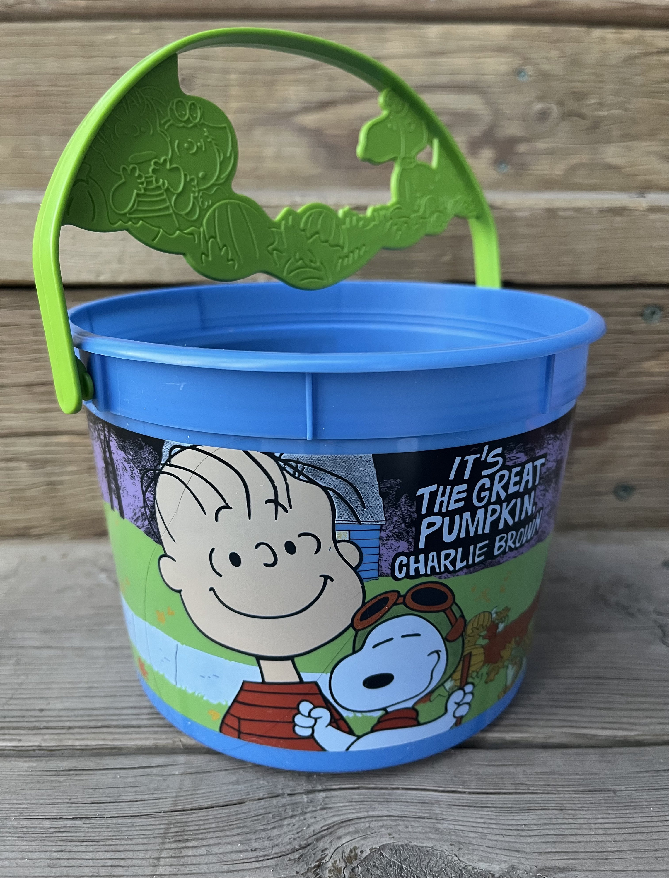 Peanuts and the Gang Its the Great Pumpkin Charlie Brown Halloween