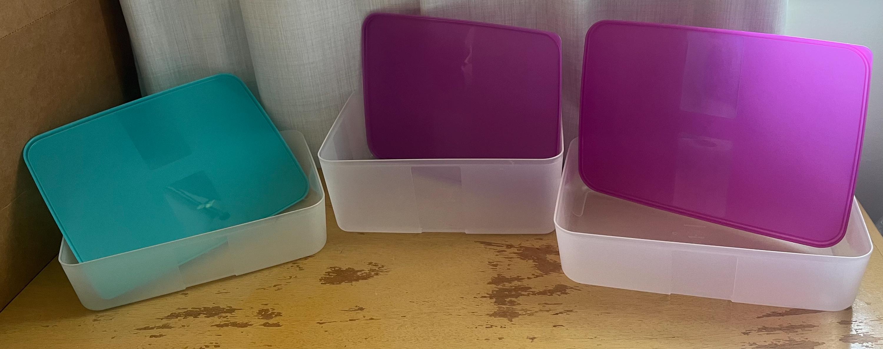 Tupperware Freezer Mates Containers: Blue or Purple Lid Shallow