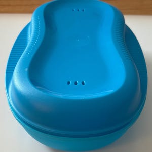 May include: A vibrant blue, oval container with a curved lid and a recessed section. The lid has three small, evenly spaced holes. The container is made of a smooth, solid material.