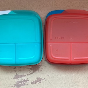 Vintage Tupperware Lunch It Divided Container, 7503 / 7504, 550 ml Choose Between the 4 Listed. Crafts Storage, Snacks