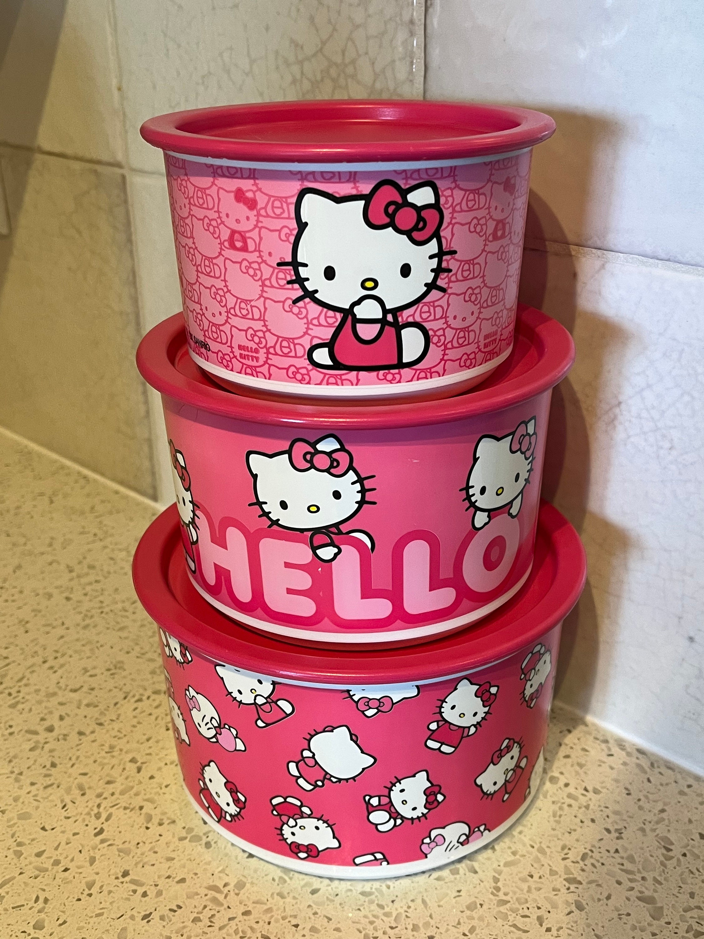 Tupperware Hello Kitty Sandwich Keeper Hinged Plastic Container Rainbow  Purple