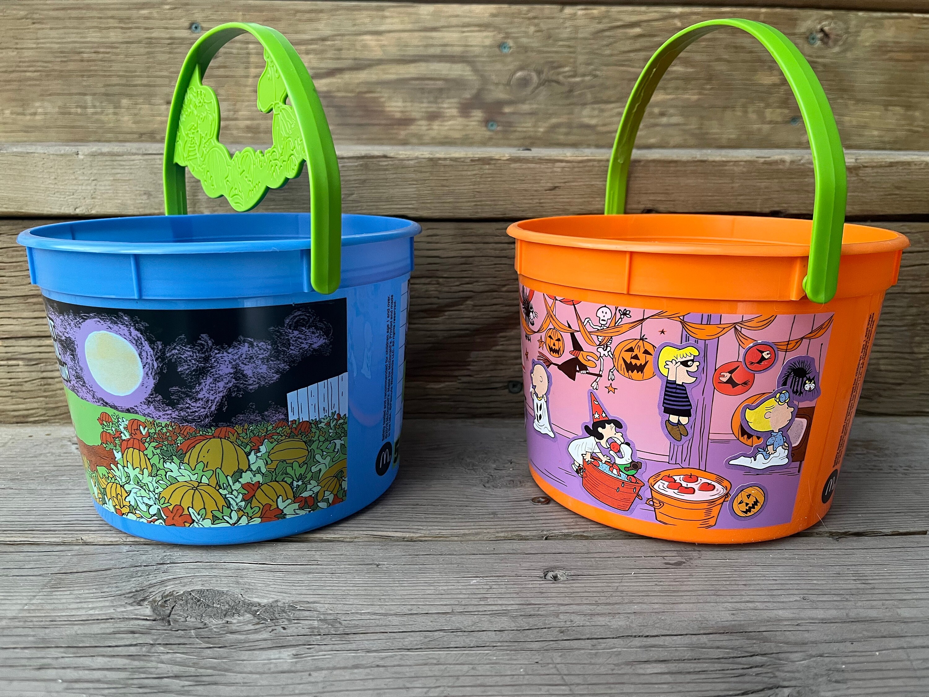 Peanuts and the Gang Its the Great Pumpkin Charlie Brown Halloween