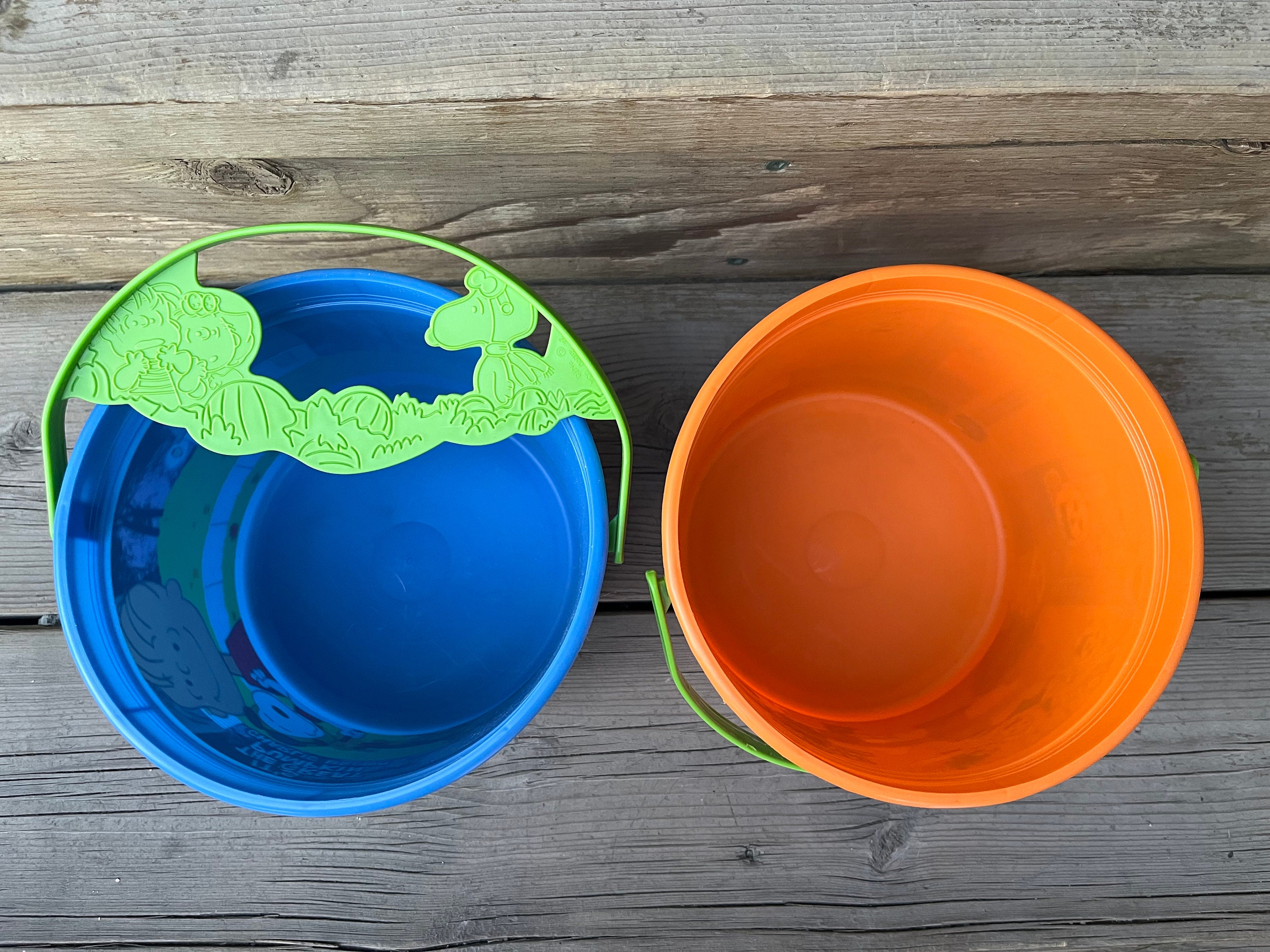 Peanuts and the Gang Its the Great Pumpkin Charlie Brown Halloween