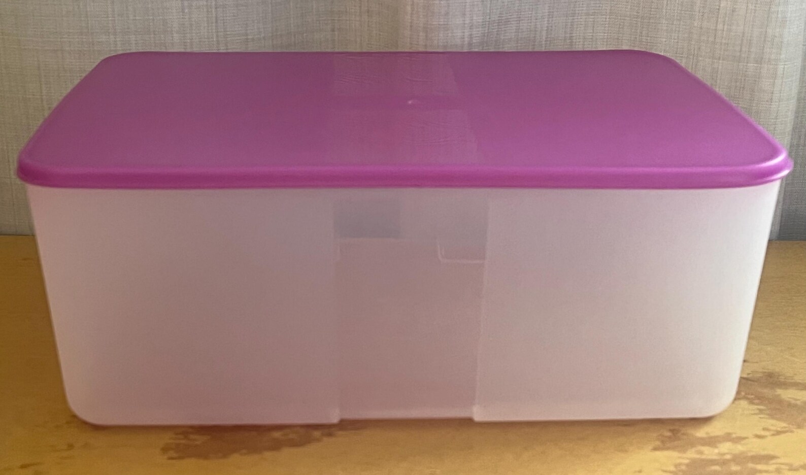 Tupperware Freezer Mates Containers: Blue or Purple Lid Shallow Purple ...