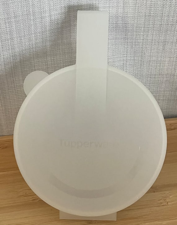 Vintage Tupperware Forget Me Not Onion Keeper - 4 to Choose From