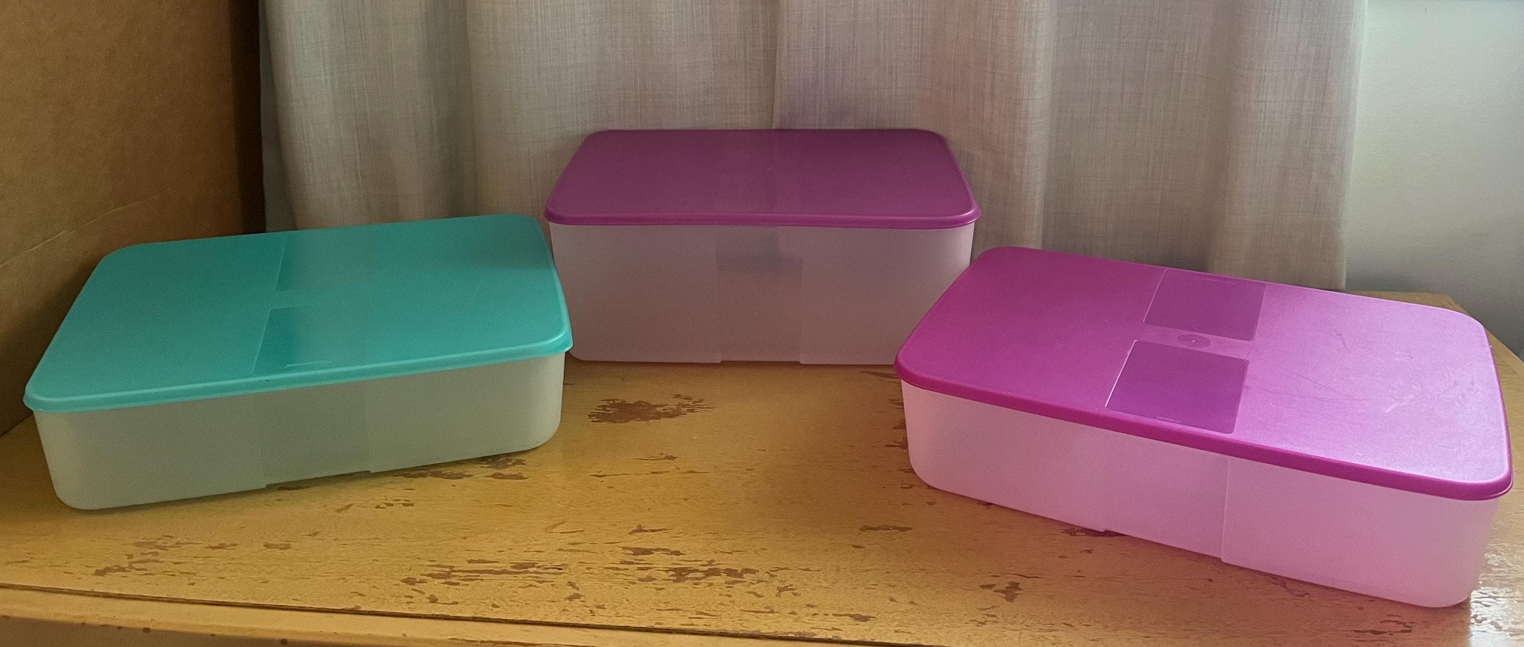 Tupperware Freezer Mates Containers: Blue or Purple Lid Shallow