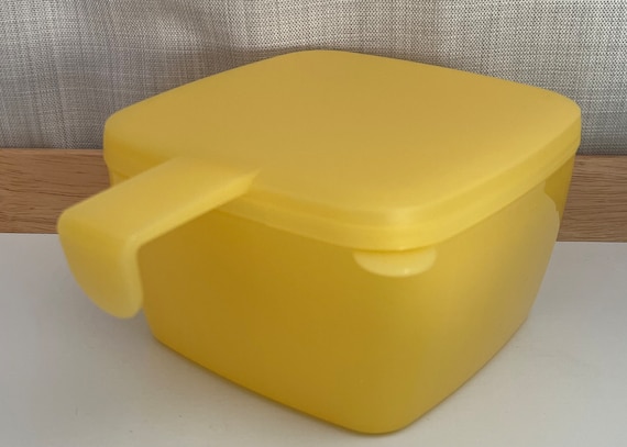 Vintage Tupperware Forget Me Not Cheese Keeper 5338 and Onion