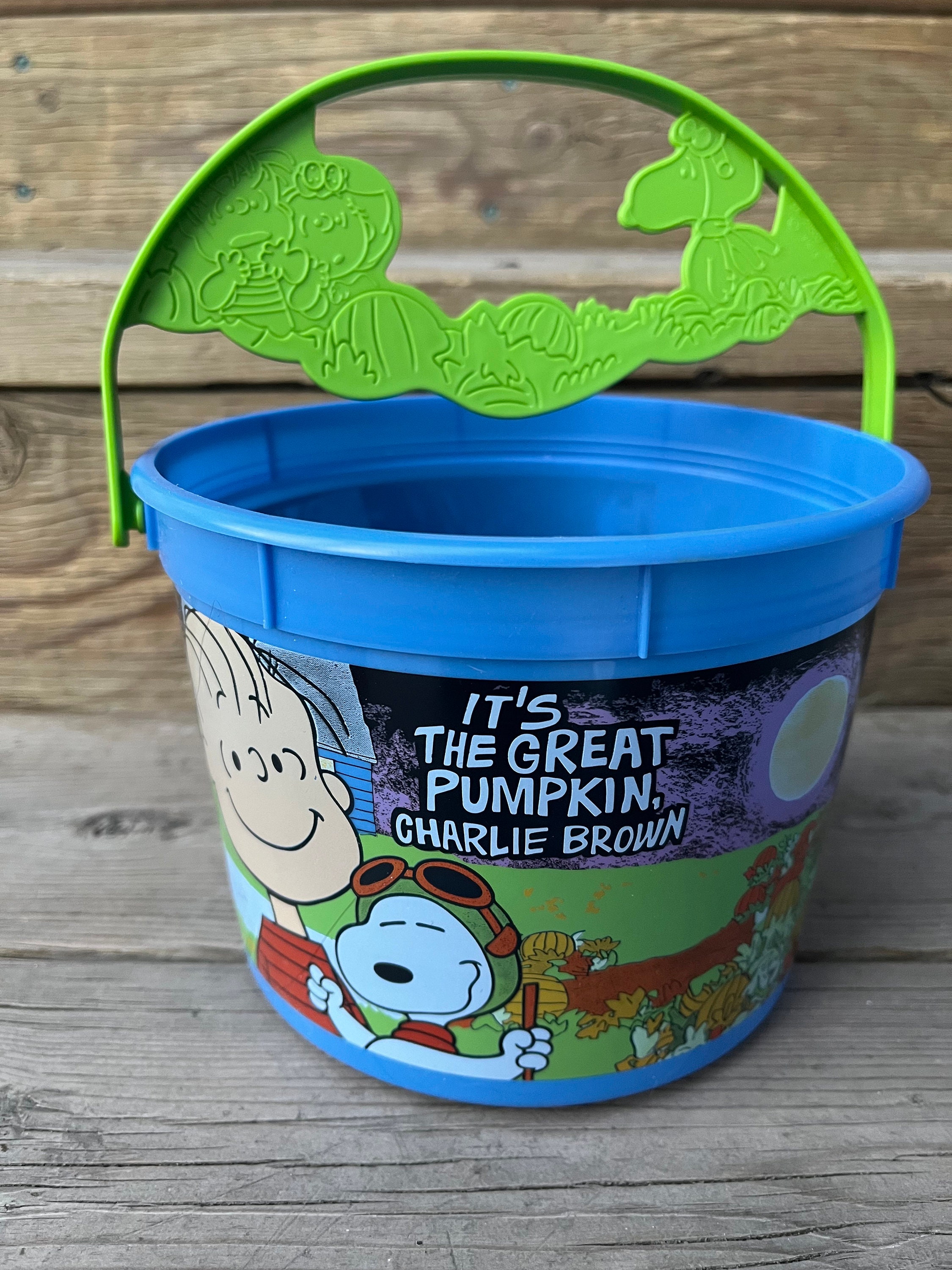 Peanuts and the Gang Its the Great Pumpkin Charlie Brown Halloween