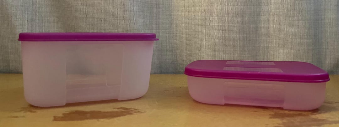 Small Tupperware Freezer Mates With Purple Lids Clear Containers