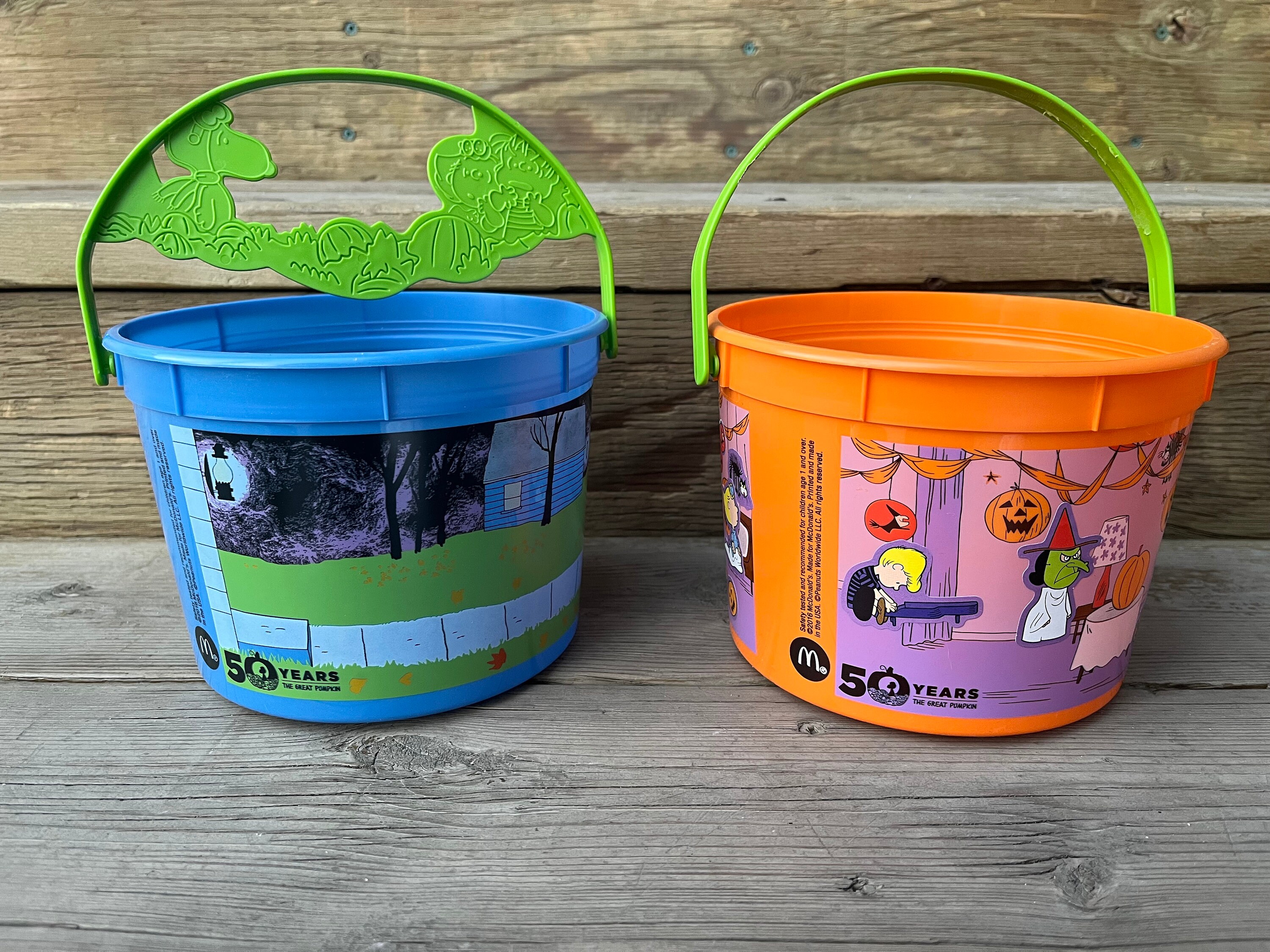 Peanuts and the Gang Its the Great Pumpkin Charlie Brown Halloween