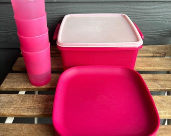 Tupperware Picnic Carry All Plate & Cup Set of 4 with Container 4.0L 3164/1239/1534