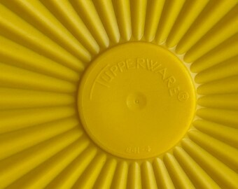 タッパーウェア セルヴァリエ 交換用蓋 841 6インチスクエア 2種類の