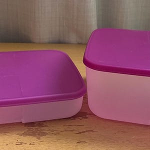 以下が含まれることがあります： 紫色の蓋と透明な底を持つプラスチック製の収納容器2つ。容器は長方形で、わずかに丸みを帯びた縁があります。