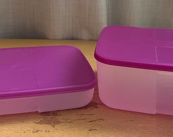Recipientes Tupperware para congelar con tapas color morado baya. Dos tamaños para elegir.