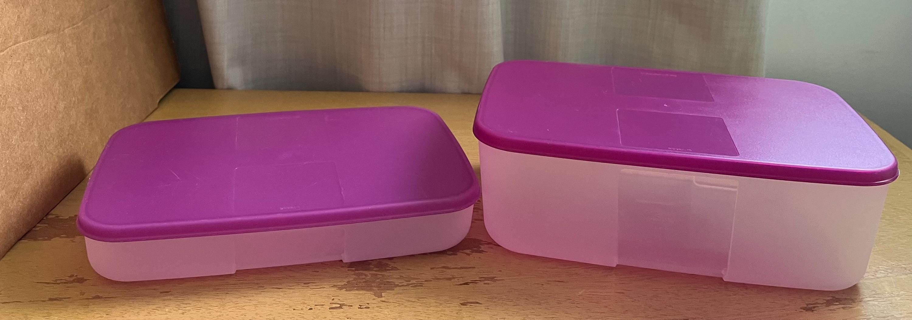 Tupperware Freezer Mates With Berry Purple Lids Two Sizes to