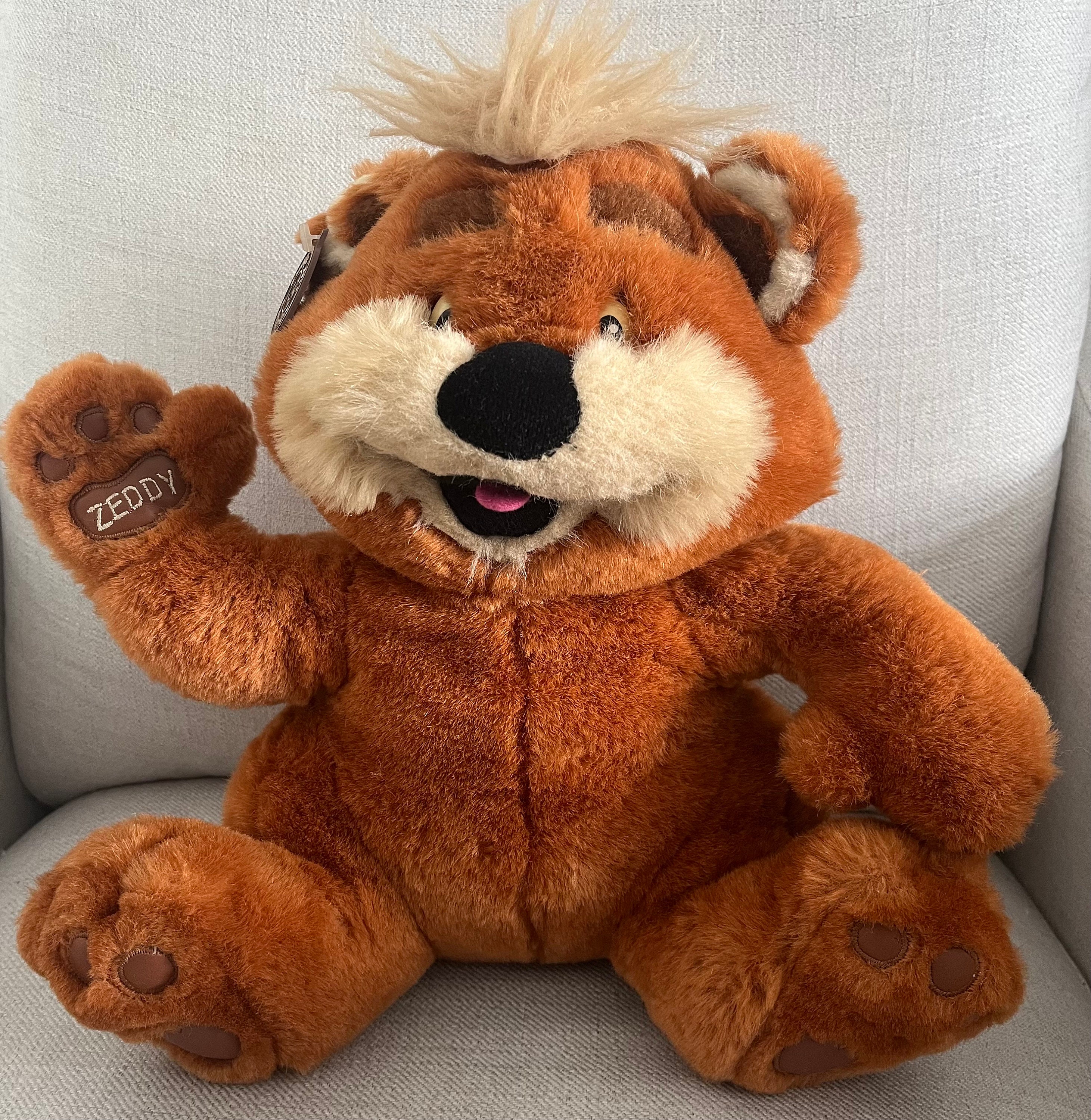 Zeddy - Etsy