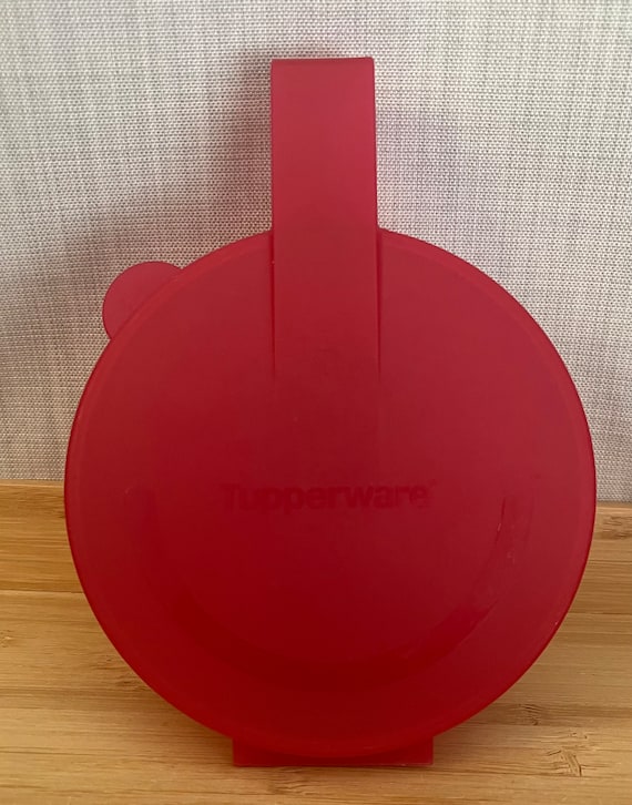 Vintage Tupperware Forget Me Not Onion Keeper - 4 to Choose From