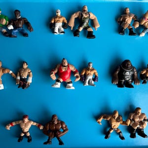 WWE Rumbles Ringen Action Figur Spielzeug