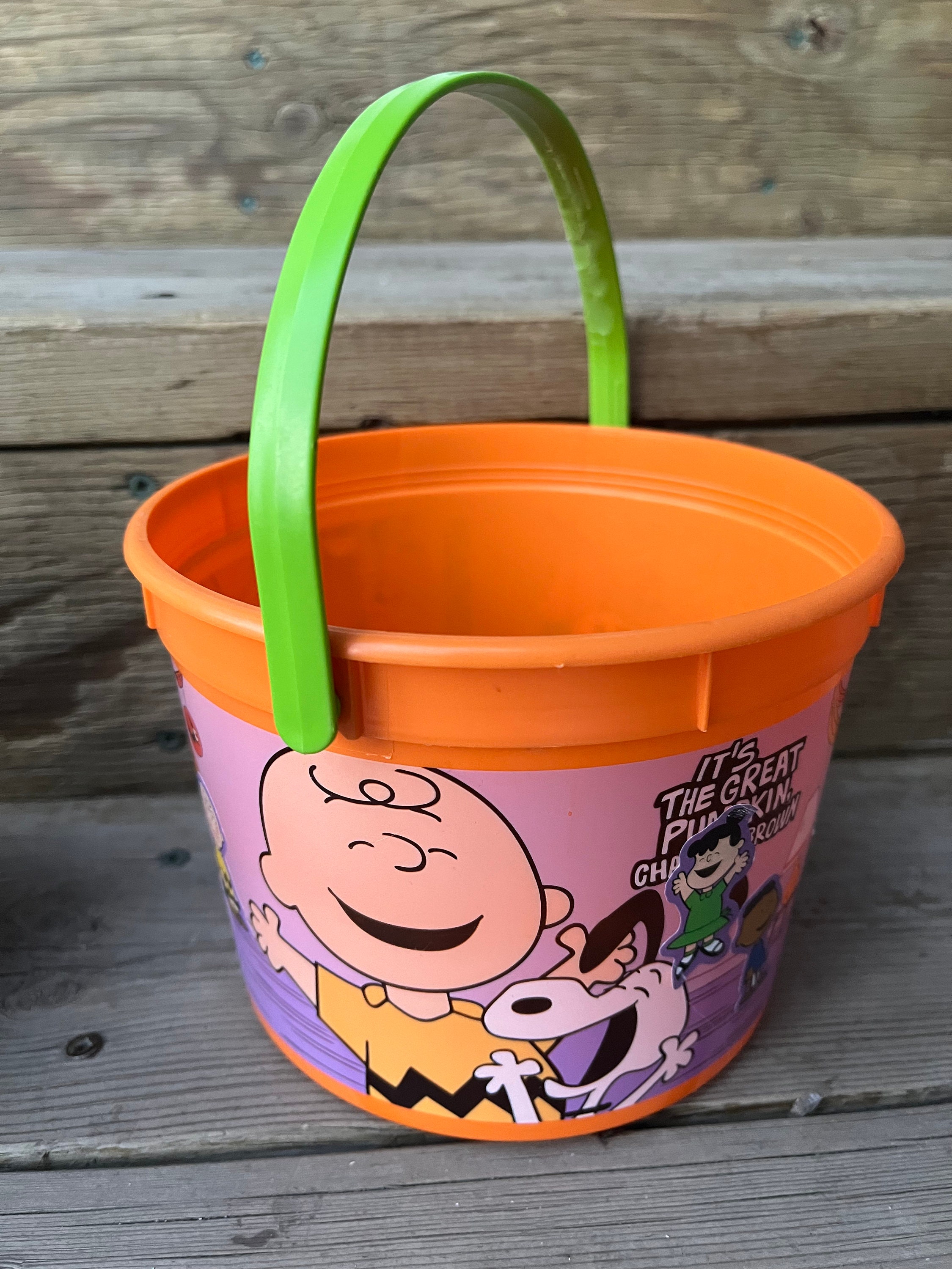 Peanuts and the Gang Its the Great Pumpkin Charlie Brown Halloween