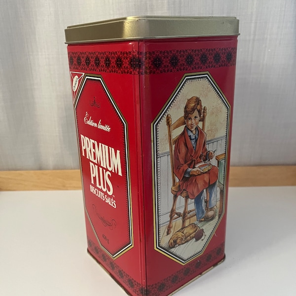 Vintage 1991 Premium Plus Christie’s Cracker Tin Collectable Kids with Pets Scene's Boy with Cat Girl with Dog