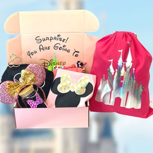 Teen/Adult Surprise Disney Pink Minnie Inspired Themed Trip Announcement/Trip Reveal