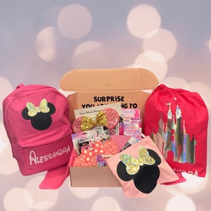 Minnie Mouse Inspired Surprise Trip Announcement Disney Trip Reveal Disney World Disneyland Birthday Trip Announcement Personalized Gift Box