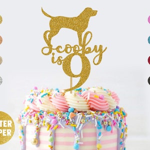 Personalised Labrador Dog Birthday Cake Topper | Personalise with Any Name & Age | Choose Any Colour