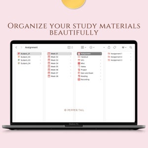 Neutral Desktop Folder Icons | Student Organizer (195 PNG & ICO) image 7