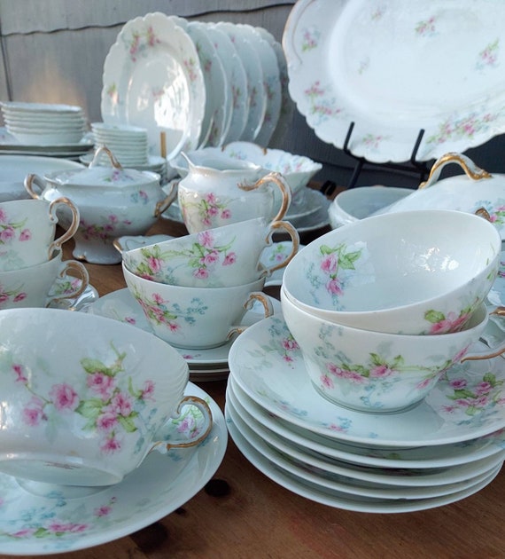 Rare Theodore Haviland Limoges Dinnerware Set: Floral Fine China