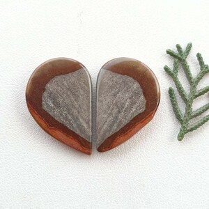 May include: Two heart-shaped stones with a polished finish. The stones have a reddish-brown border, a gray center, and a smooth, glossy surface. A sprig of green foliage is in the background.