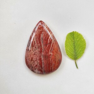 以下が含まれることがあります： 赤と茶色の縞模様の、磨かれた涙型の宝石。緑の葉が隣にあります。宝石の表面は光沢があり、光を反射します。ジュエリーに適しています。
