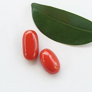 2 Pcs Lots Natural Coral Cabochons Oval Shape Coral Gemstone Beautiful High Quality   Coral for jewelry Smooth Polished Coral