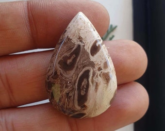 Natural Palm wood root agate cabochon smooth pear shape palm wood root agate gemstone