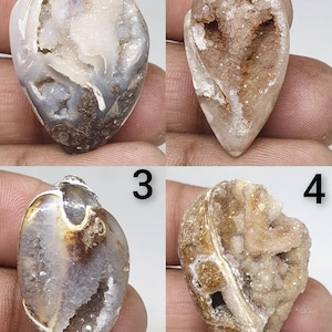 Gastropod Crystallized Fossil shell beautiful Gastropod Crystallized Fossil shell rare Gastropod Crystallized Fossil shell for jewelry