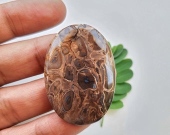 Natural Palm wood root agate cabochon smooth oval shape palm wood root agate gemstone