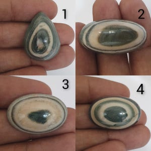 Könnte beinhalten: Vier polierte Edelsteine in verschiedenen Formen. Die Steine weisen konzentrische Muster aus Grau, Creme und Dunkelgrün auf. Ein Stein ist tropfenförmig, während die anderen oval sind. Die Steine werden in einer Hand gehalten, was ihre natürliche Schönheit hervorhebt.